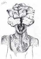 Avatar du membre